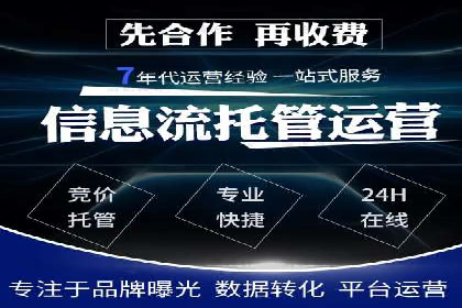 SEM代理助力品牌：案例解析与优化策略