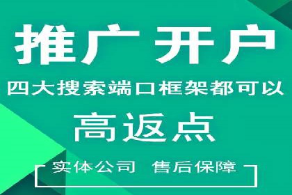 百度竞价广告投放的ROI优化：经典案例分享